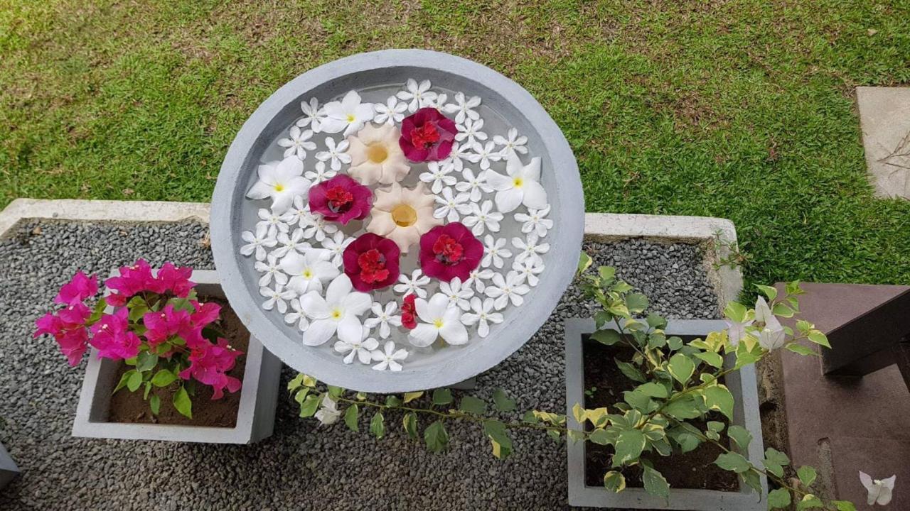 Nature Paradise Villa Balapitiya Bagian luar foto